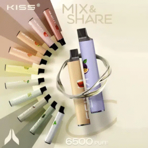 拋棄式/一次性電子煙